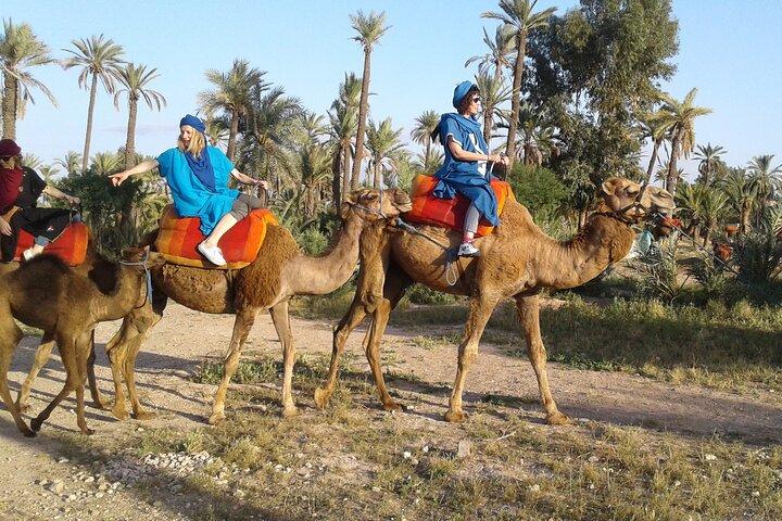1-Hour Camel Ride in La Palmeraie Marrakech with Hotel Pick up