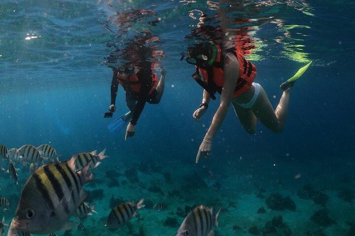 Passeio de barco e snorkel em Cozumel com bebidas