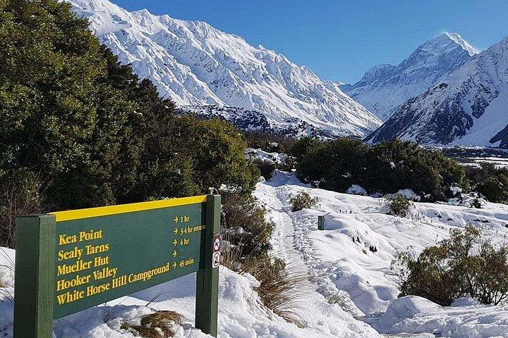 Mt Cook Tour e Ultimate Alpine Experience Combo da Queenstown