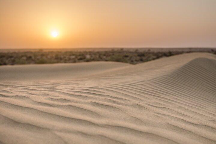 Jaisalmer : 2 - Tag Thar Wüste Erfahrung