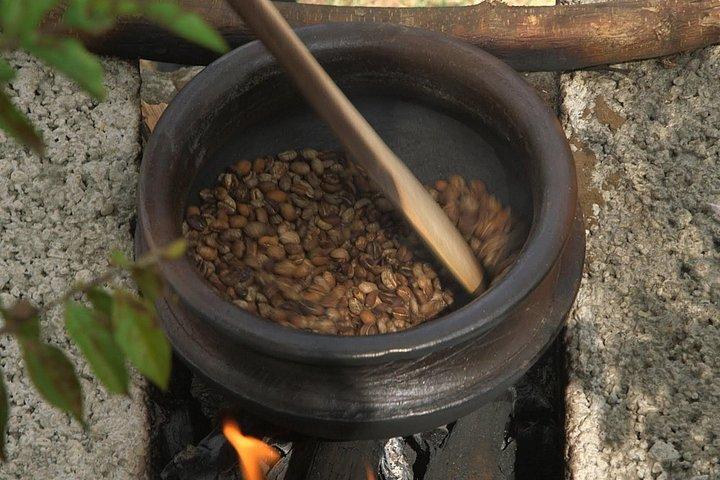 Visite privée du café Meru à Nkoaranga