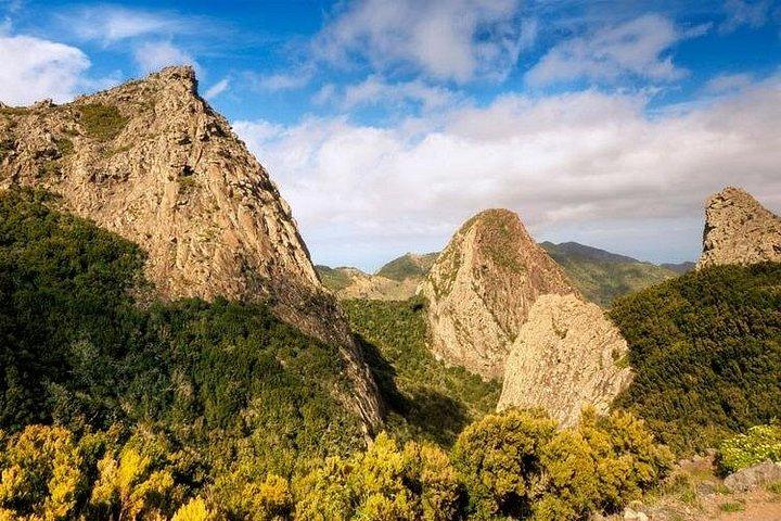 テネリフェ島からゴメラ島への終日ガイド付きツアー