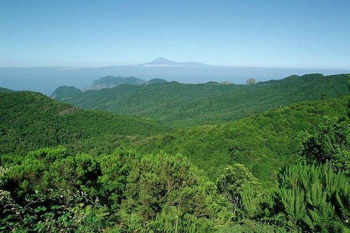 テネリフェ島からゴメラ島への終日ガイド付きツアー