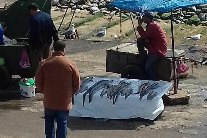 Gita di un giorno a Essaouira da Marrakech