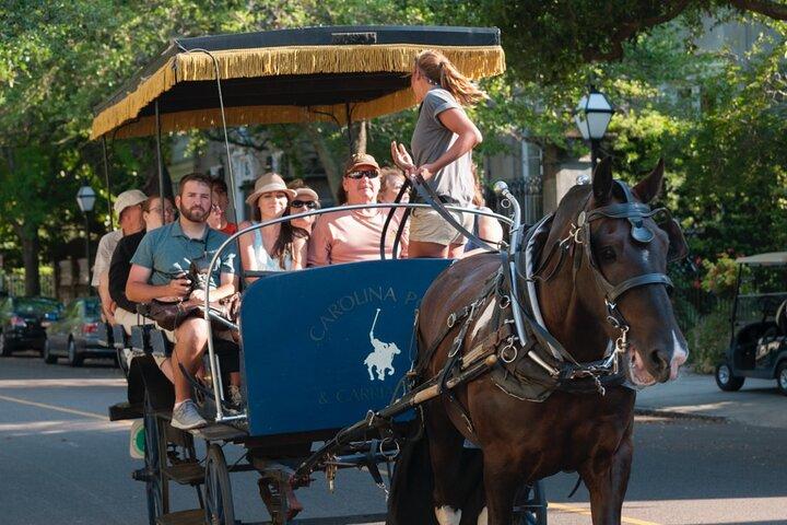 Charleston Horse & Carriage Historisk sightseeingtur