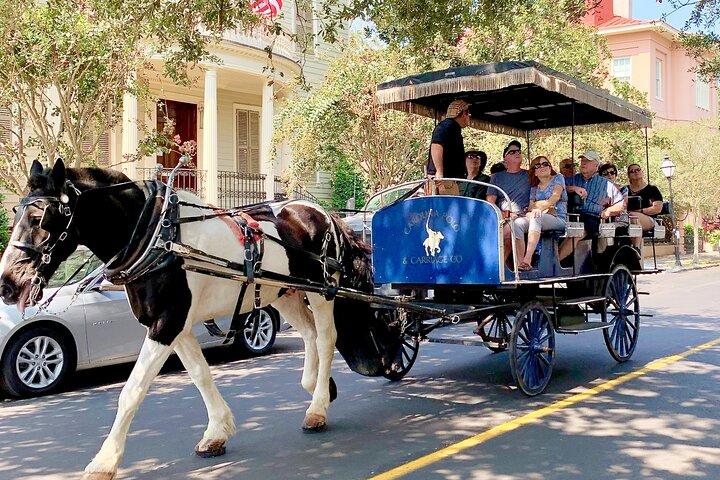 Charleston Horse & Carriage Historisk sightseeingtur