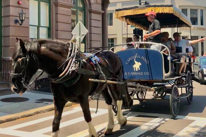 チャールストンの馬車歴史観光ツアー