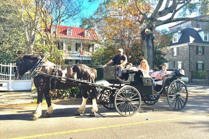 Tour storico privato in carrozza e cavalli di Charleston