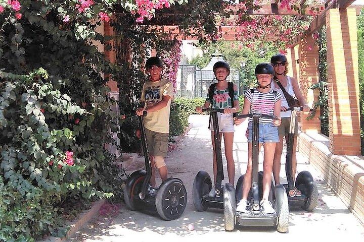 Complete Valencia Segway Experience: Centro Histórico e Jardins 2h