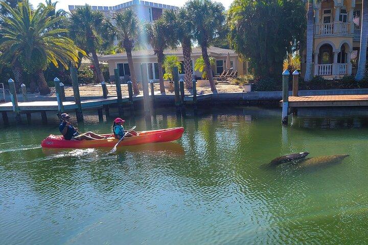 Mangroventunnel & Manatee Kayak Eco-Tour