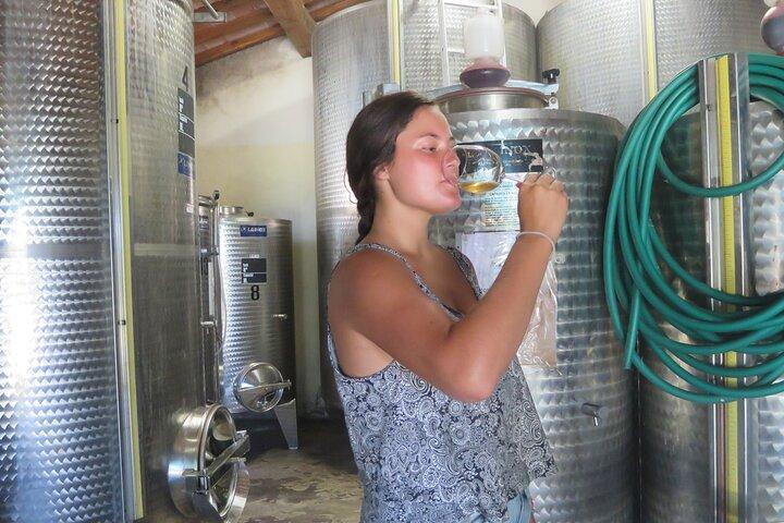 Half-day Chianti Classico Wine tour from Florence - Small Group