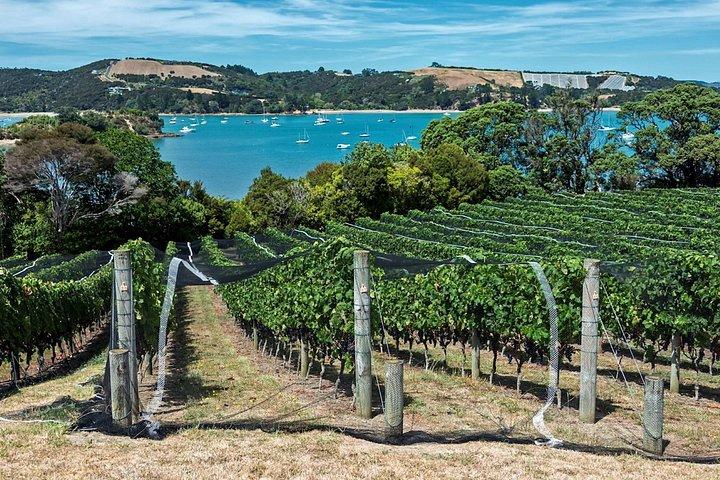 Waiheke Island Luxury Private Experience