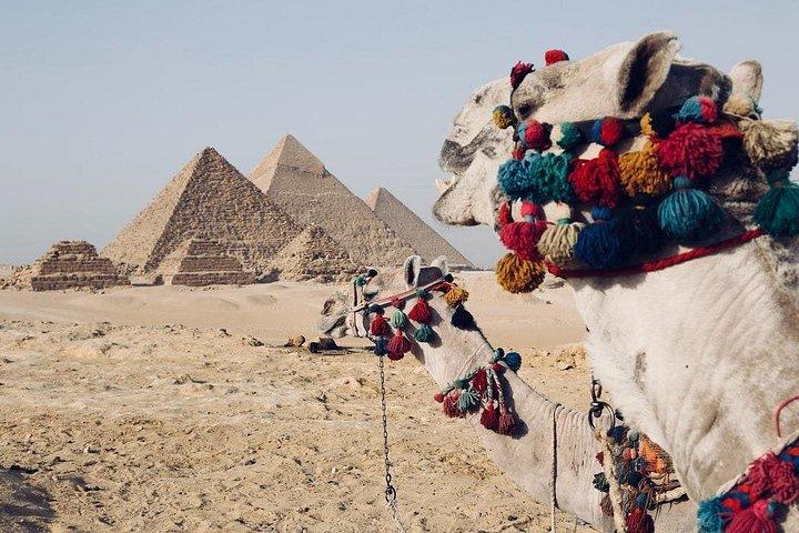 Dagstur til Cairo fra Alexandria