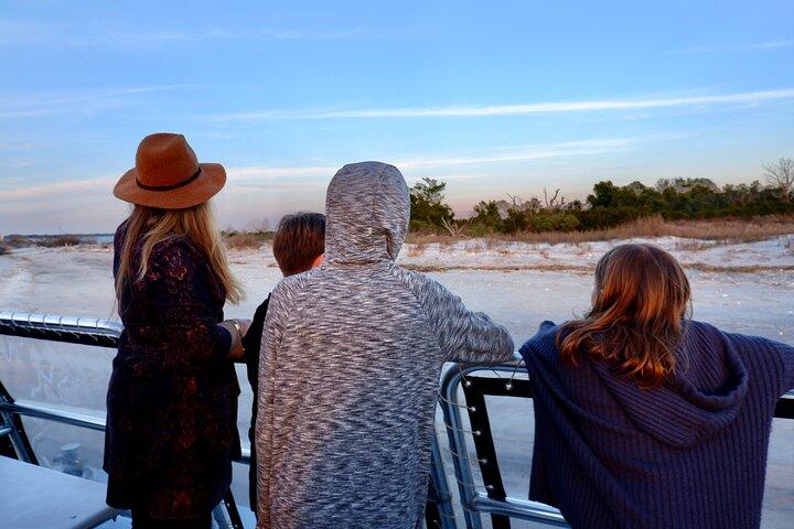 Paseo en barco por la naturaleza con naturalista certificado en Charleston