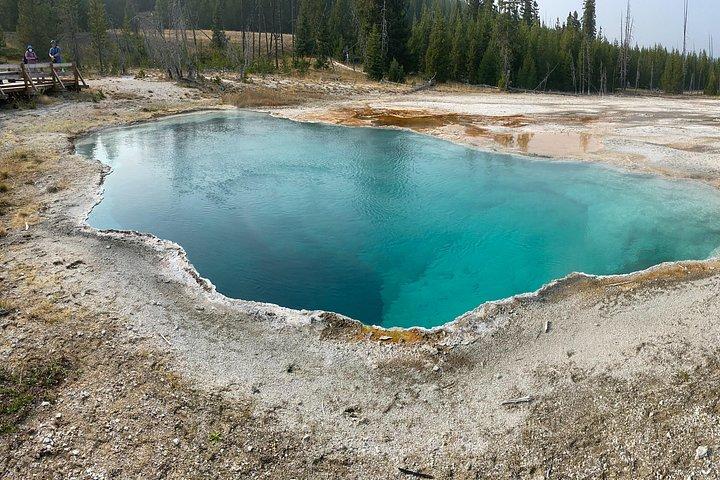 Private Small-Group Yellowstone Tour with Lunch