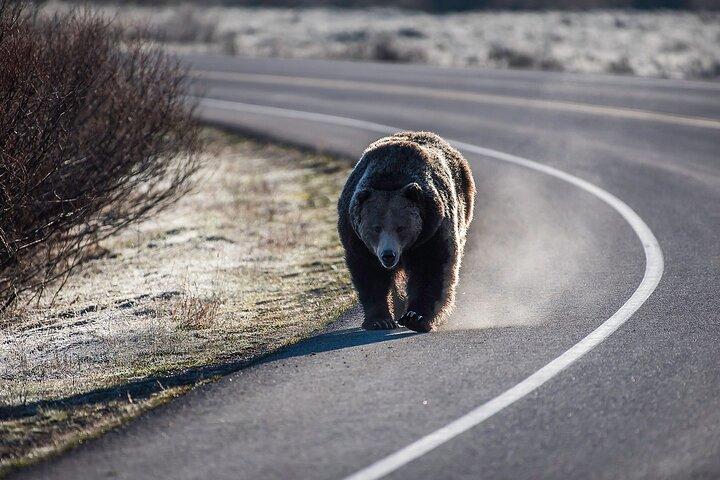 Ganztägige Luxus-Privat-Grand-Teton-Nationalpark-Tour