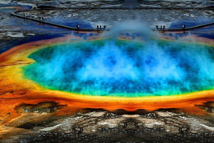 Privat heldags Yellowstone National Park Tour