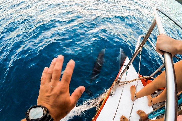 昼食付きのウィットサンデー セーリングとシュノーケル アドベンチャー