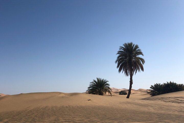 2 Days to Zagora Desert from Marrakech