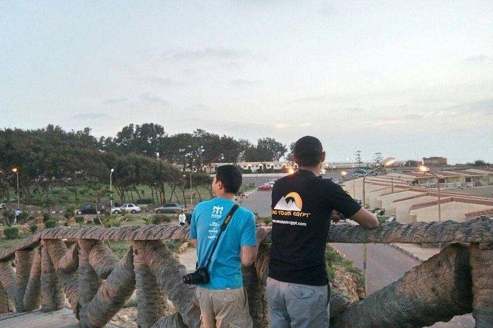 Visite guidée privée d'une journée des points forts d'Alexandrie