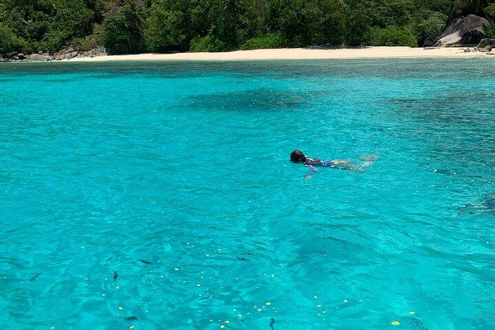 Reef Safari - Snorkeling, Fish Feeding & Lunch (Shared Day Trip)