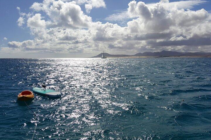 3-Hour Private Sailing Tour around the Lobos Island