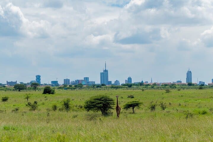 Nairobi National Park Safari Tour.