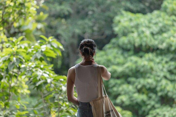 Tour ATV con Monkey Forest Experience a Bali