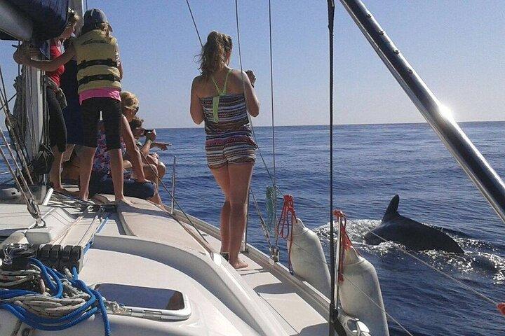 Sydkyst Tenerife Cruise
