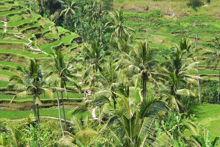Bali Kochkurs Erfahrung mit All Inclusive