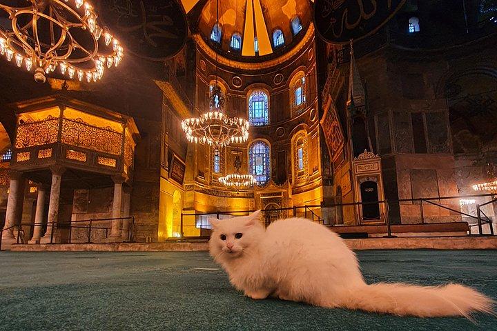 Best of Istanbul