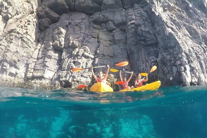 Safari en kayak avec observation des dauphins et des tortues depuis Los Cristianos