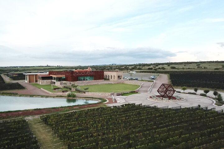 Lokal vingårdstur og vinsmagning i Independence Valley