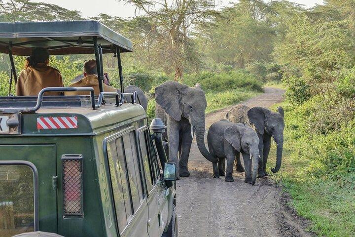 Safari de aventura por el parque Serengeti y el cráter Ngorongoro