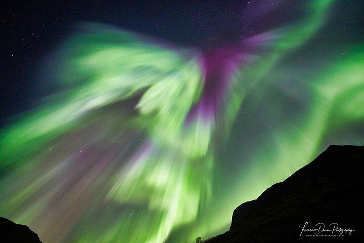 Minivan Northern Lights-udflugt (8 gæster pr. minivan)