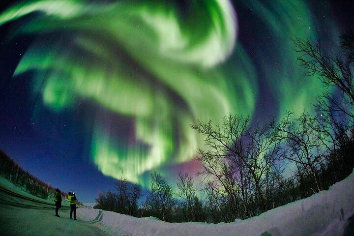 Minivan Northern Lights-udflugt (8 gæster pr. minivan)