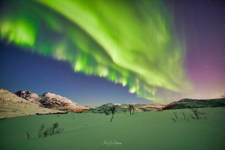 Minibuss Northern Lights-utflykt (8 gäster per minibuss)