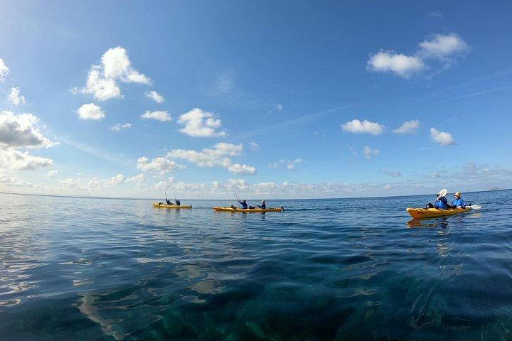シュノーケリングとピクニック付きの少人数グループのサントリーニ海食洞カヤック旅行