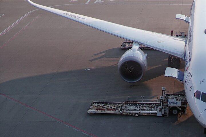 Transfert privé de l'aéroport du Caire à votre hôtel au Caire