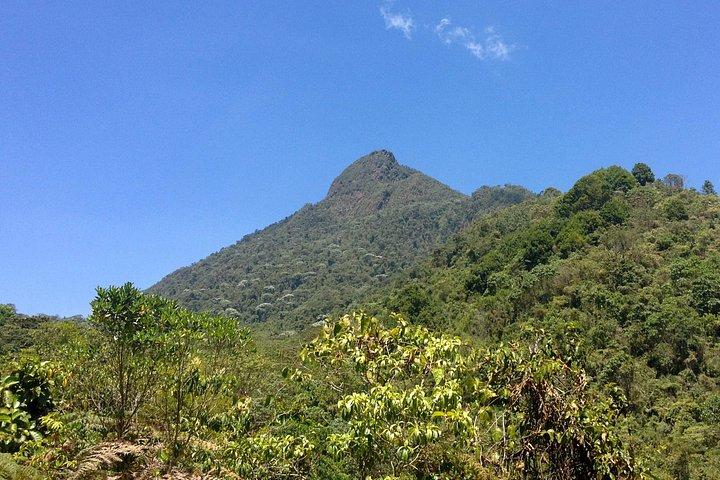 Cali Farallones: Papegojnäbb | Vandring och exkursionism