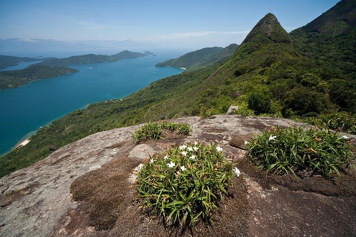 Mamangua Sugarloaf Peak Boat Tour
