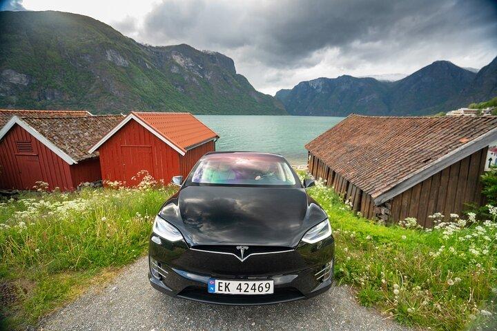 送迎サービス、高級車1〜3名様:Bergen - Flåm、Gudvangen