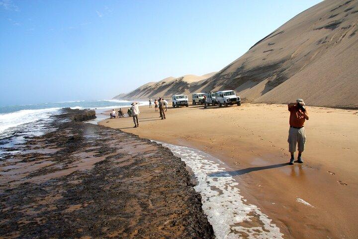 Tour de medio día por el puerto de Sandwich desde Walvis Bay con almuerzo