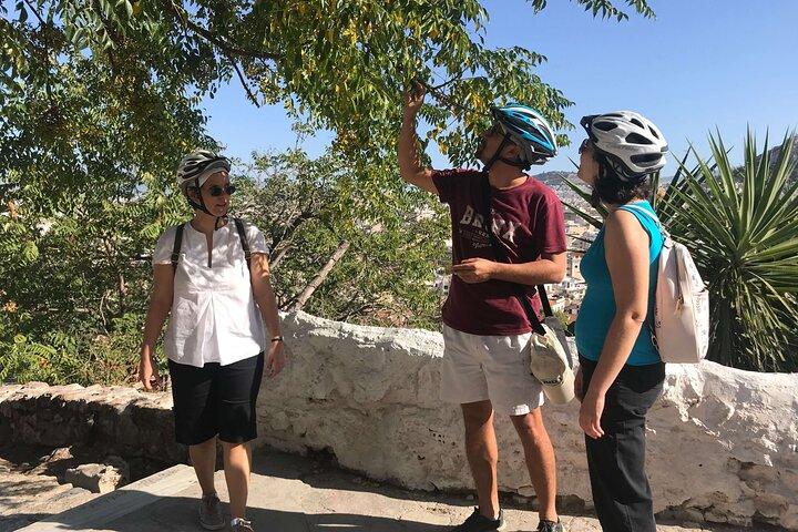 Punti salienti di Atene in e-bike: tour storico per piccoli gruppi
