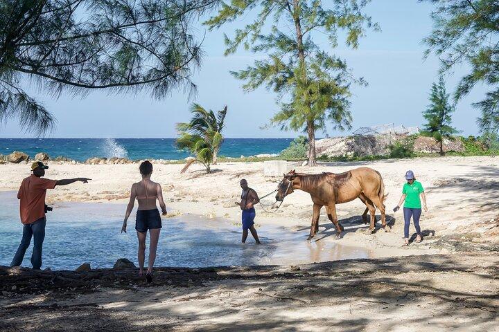 Reiten , Blaues Loch und Mittagessen von Ocho Rios Jamaika