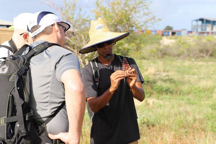Spanish Lagoon Mangrove Trail & Bird Watching
