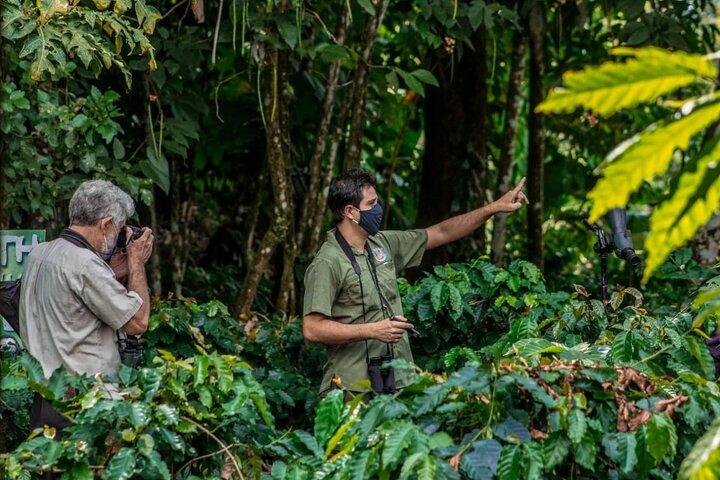 Faultierbeobachtungstour in La Fortuna - Wildlife Experience
