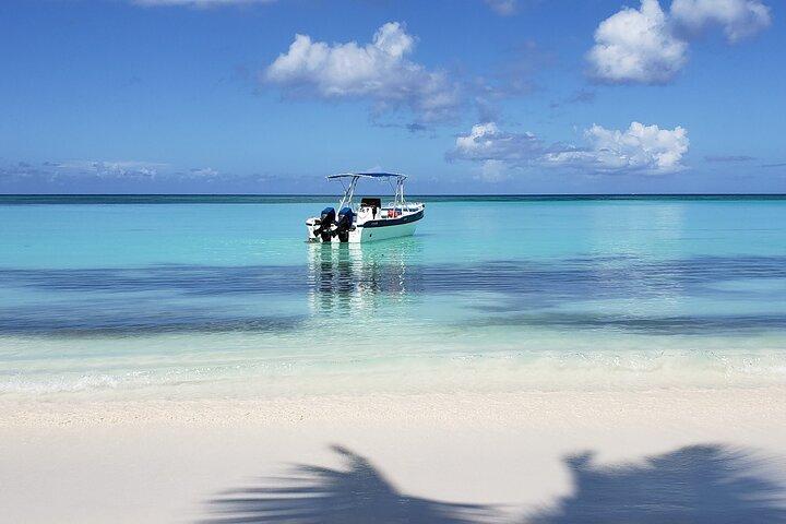 Pequeno Grupo: Saona Island Full Day Tour