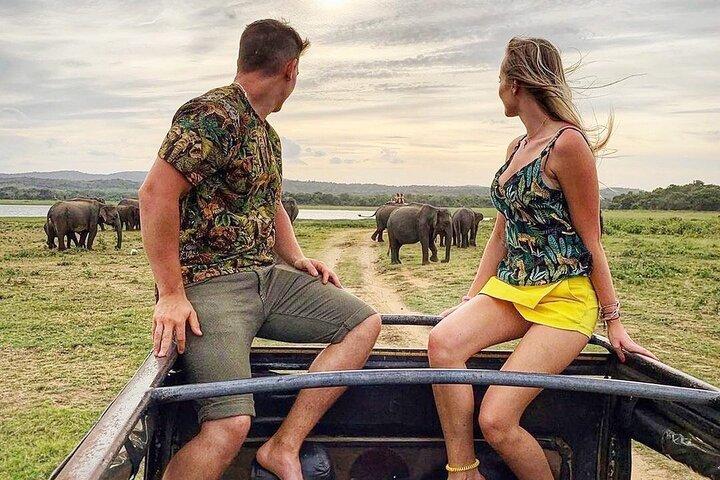 10 giorni Sri Lanka Private Tours H/B alloggi