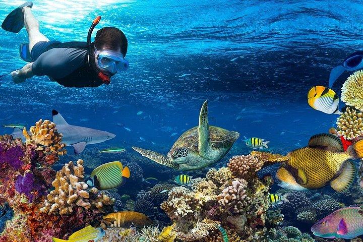 ハルガダからマフマヤ、ギフトン諸島へのシュノーケリングクルーズ
